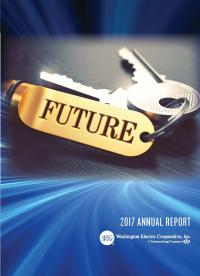 Cover of 2017 Annual Report